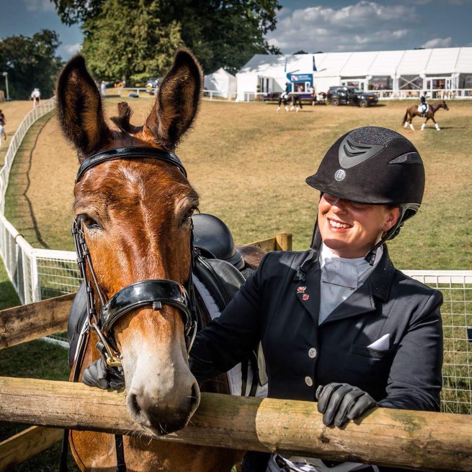 Meet Wallace the first mule to win the British dressage competition